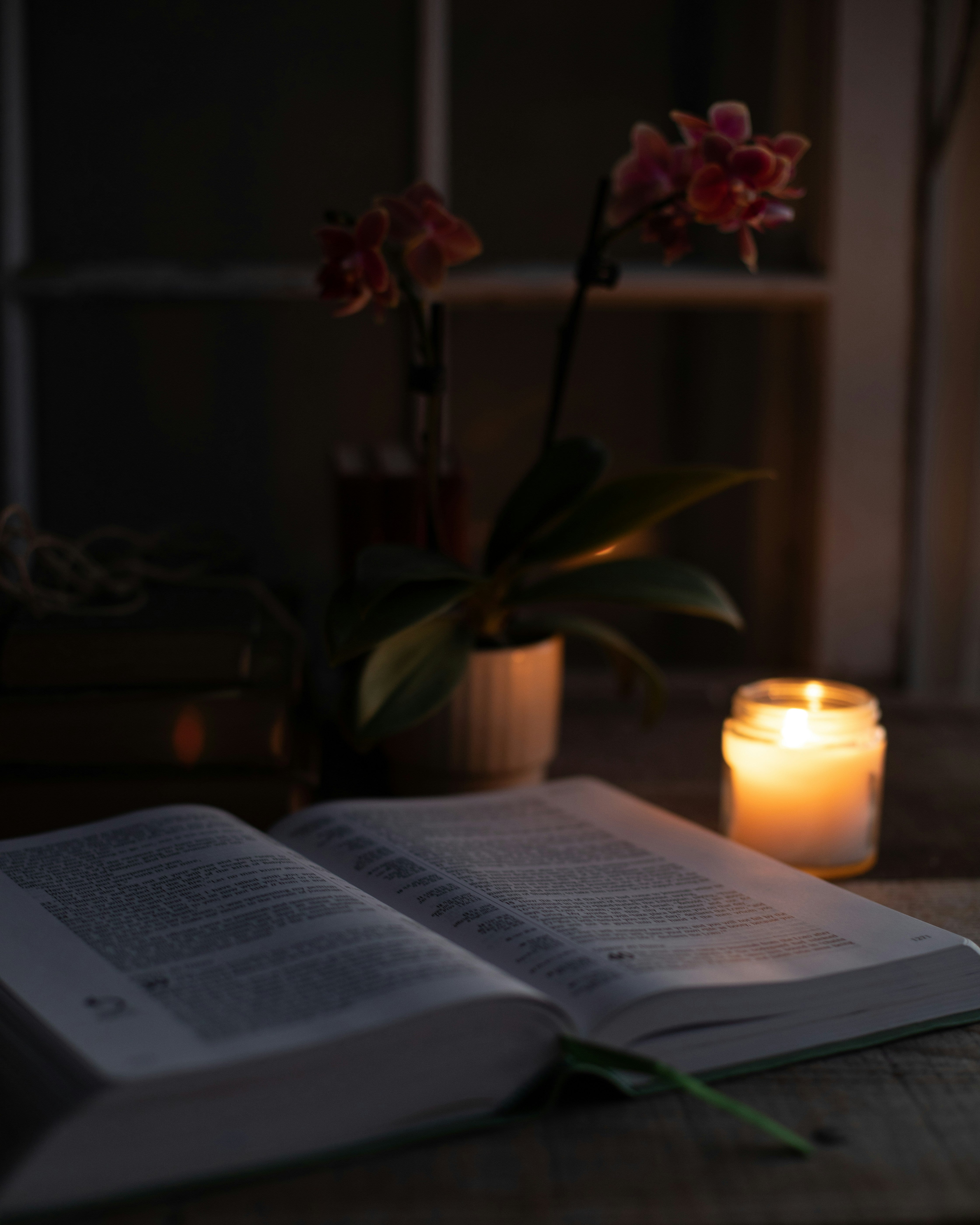 Chapter One Membership - BookShook