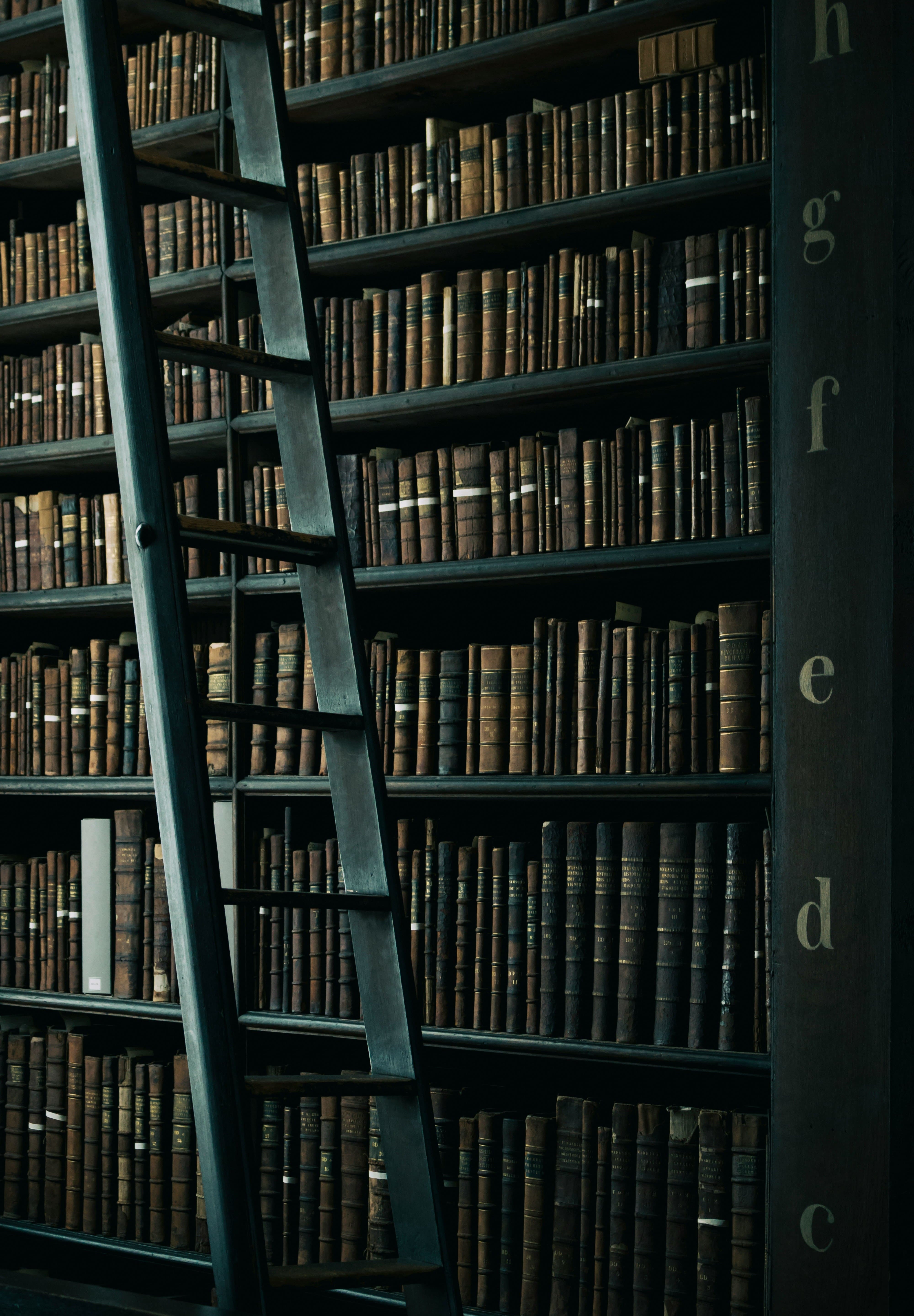 What Your Book Boyfriend Says About You
