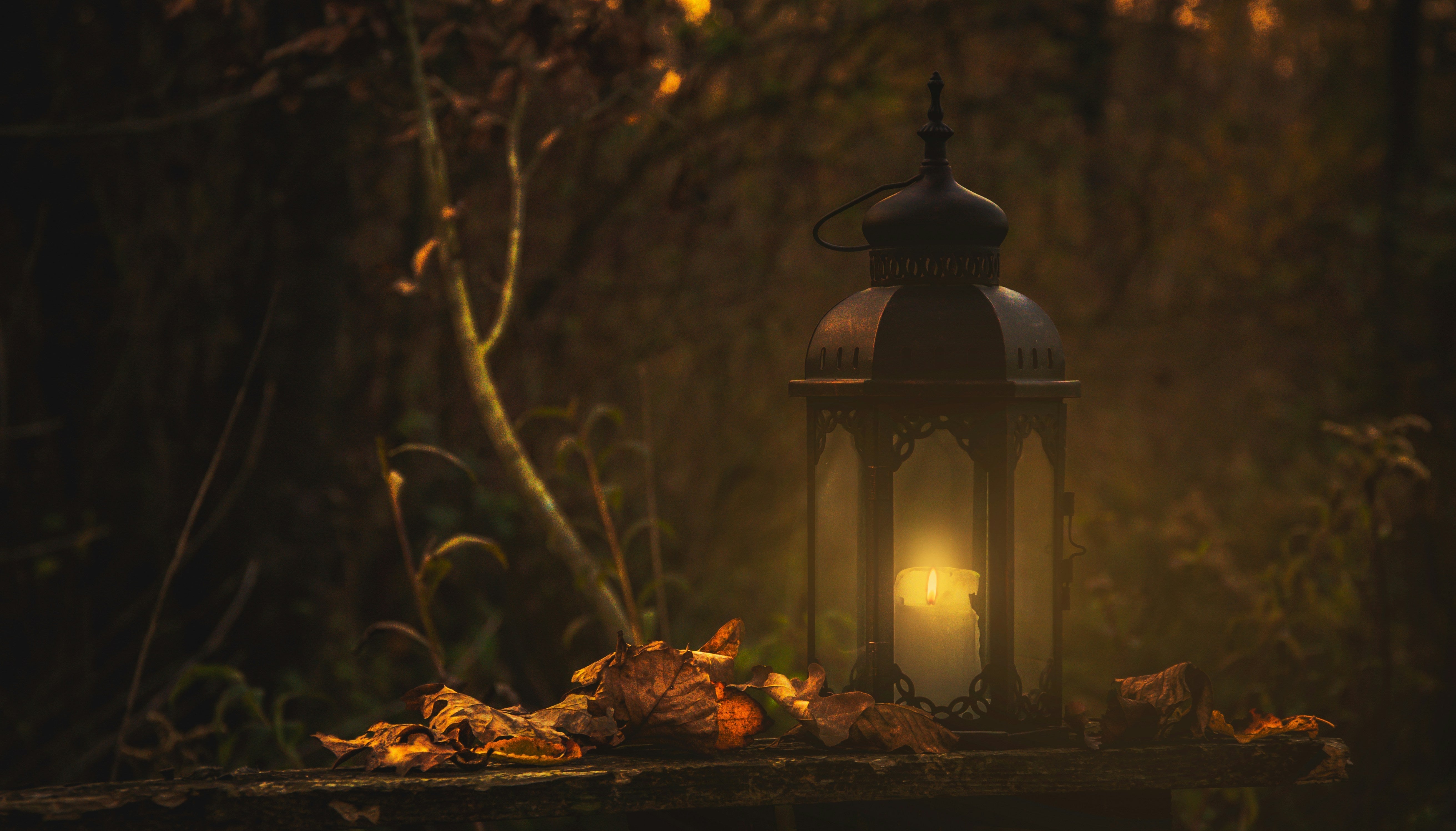 1# Confessions of a Fictionally Wrecked Reader Who Refused to Shrink